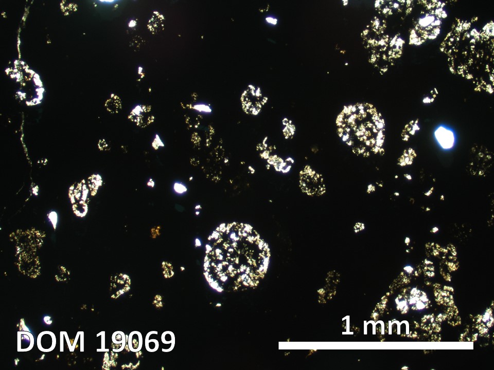 Thin Section Photo of Sample DOM 19069 in Plane-Polarized Light with 2.5X Magnification