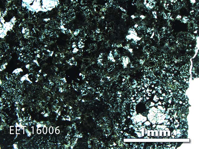 Thin Section Photo of Sample EET 16006 in Plane-Polarized Light with 2.5X Magnification