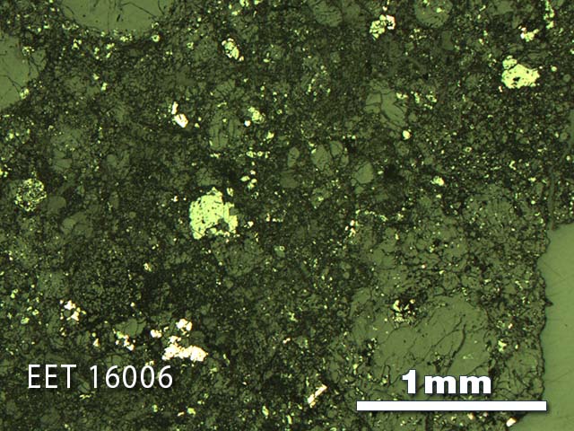 Thin Section Photo of Sample EET 16006 in Reflected Light with 2.5X Magnification
