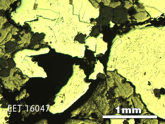 Thin Section Photo of Sample EET 16047 in Reflected Light with 2.5X Magnification