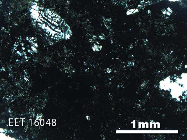 Thin Section Photo of Sample EET 16048 in Plane-Polarized Light with 2.5X Magnification