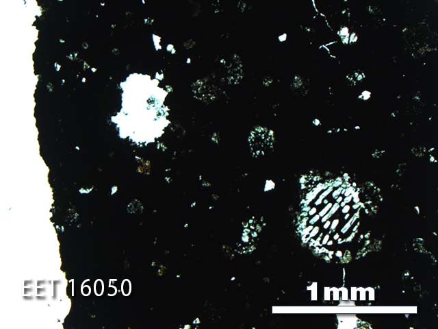 Thin Section Photo of Sample EET 16050 in Plane-Polarized Light with 2.5X Magnification