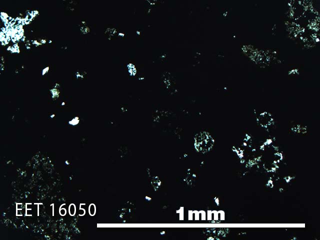 Thin Section Photo of Sample EET 16050 in Plane-Polarized Light with 5X Magnification