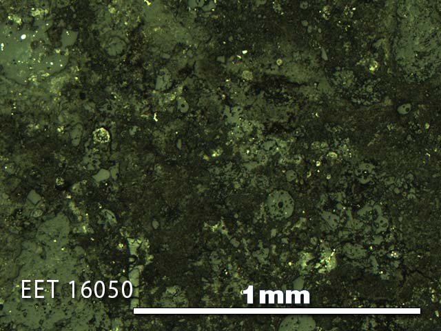 Thin Section Photo of Sample EET 16050 in Reflected Light with 5X Magnification
