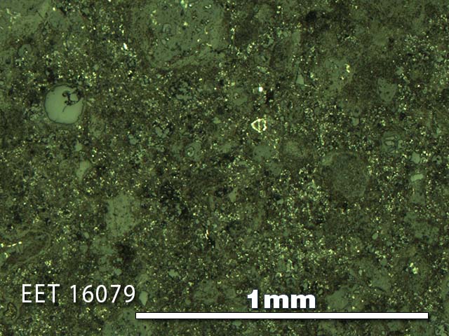Thin Section Photo of Sample EET 16079 in Reflected Light with 5X Magnification