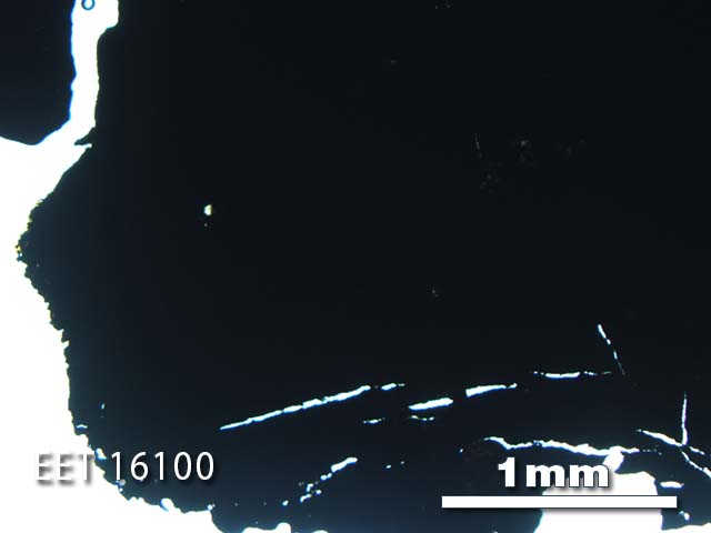 Thin Section Photo of Sample EET 16100 in Plane-Polarized Light with 2.5X Magnification