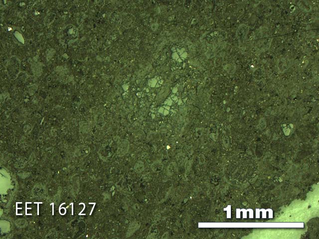 Thin Section Photo of Sample EET 16127 in Reflected Light with 2.5X Magnification