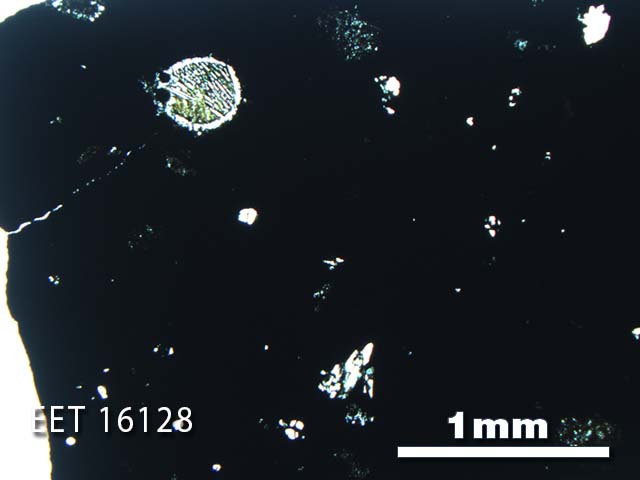 Thin Section Photo of Sample EET 16128 in Plane-Polarized Light with 2.5X Magnification