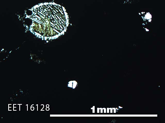 Thin Section Photo of Sample EET 16128 in Plane-Polarized Light with 5X Magnification