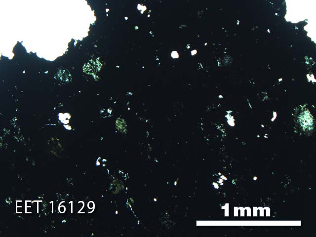 Thin Section Photo of Sample EET 16129 in Plane-Polarized Light with 2.5X Magnification