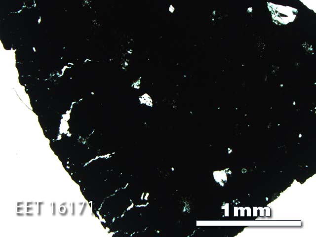Thin Section Photo of Sample EET 16171 in Plane-Polarized Light with 2.5X Magnification