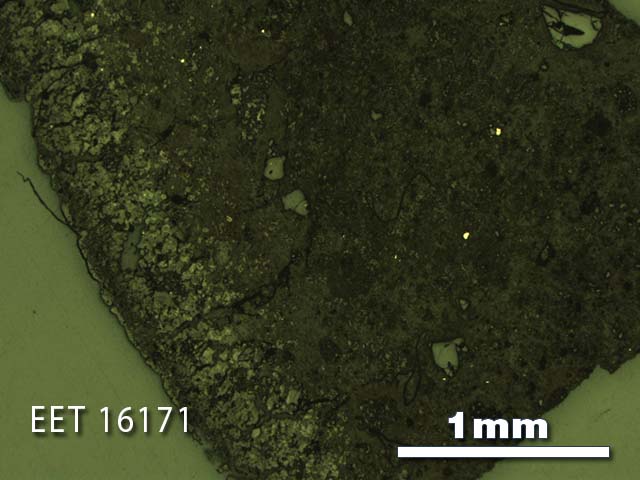 Thin Section Photo of Sample EET 16171 in Reflected Light with 2.5X Magnification