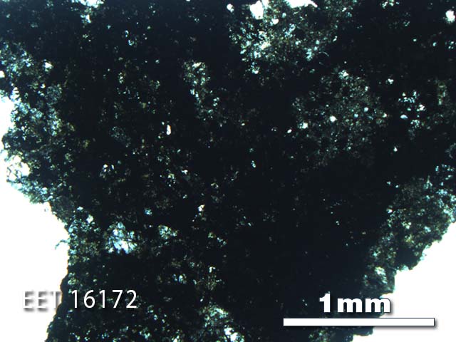 Thin Section Photo of Sample EET 16172 in Plane-Polarized Light with 2.5X Magnification