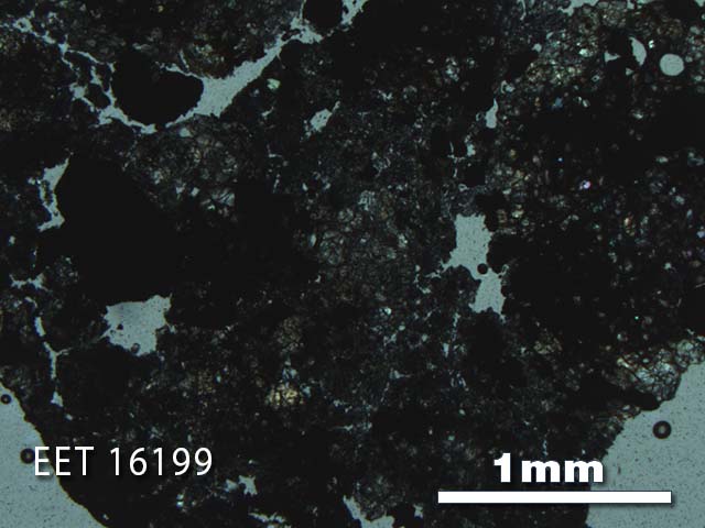Thin Section Photo of Sample EET 16199 in Plane-Polarized Light with 2.5X Magnification