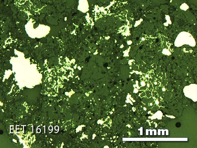 Thin Section Photo of Sample EET 16199 in Reflected Light with 2.5X Magnification