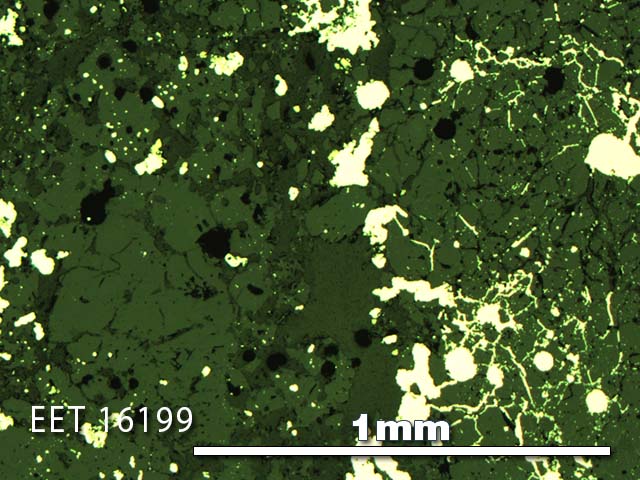 Thin Section Photo of Sample EET 16199 in Reflected Light with 5X Magnification