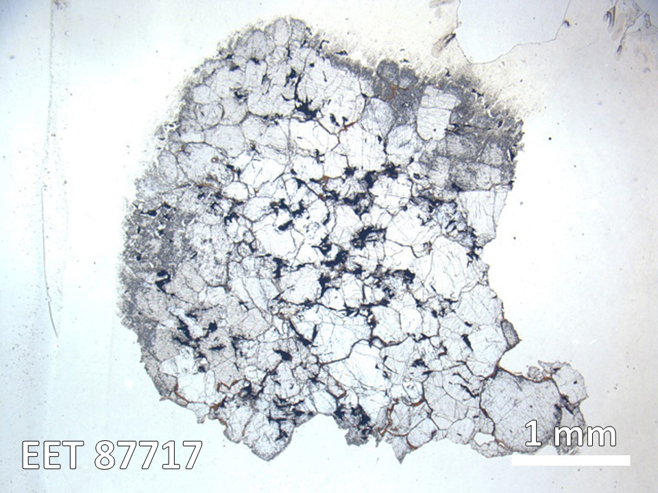 Thin Section Photo of Sample EET 87717 in Plane-Polarized Light with 1.25X Magnification