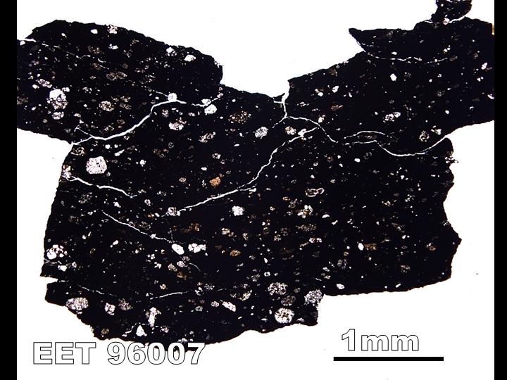 Thin Section Photograph of Sample EET 96007 in Plane-Polarized Light