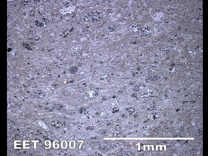 Thin Section Photo of Sample EET 96007 in Reflected Light