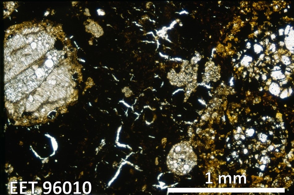 Thin Section Photo of Sample EET 96010 in Plane Polarized Light