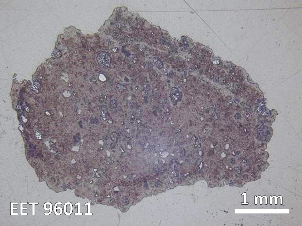 Thin Section Photo of Sample EET 96011 in Reflected Light with  Magnification