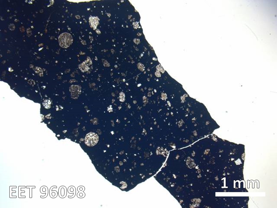 Thin Section Photo of Sample EET 96098 in Plane-Polarized Light with  Magnification