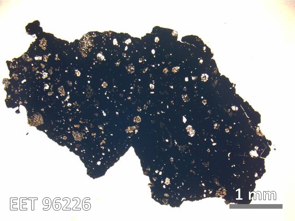 Thin Section Photo of Sample EET 96226 in Plane-Polarized Light with  Magnification