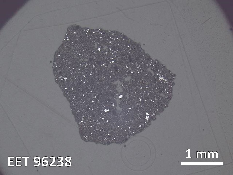Thin Section Photo of Sample EET 96238 in Reflected Light with  Magnification