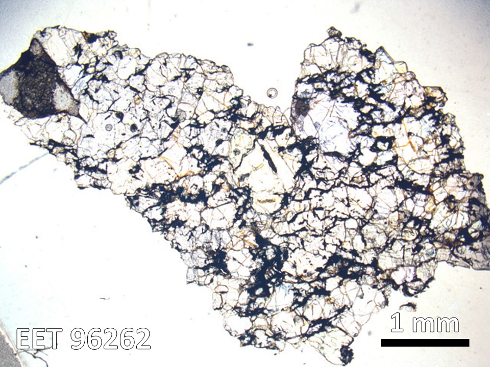 Thin Section Photo of Sample EET 96262 in Plane-Polarized Light with 1.25X Magnification