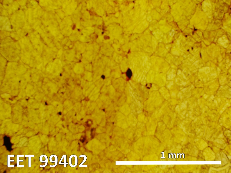 Thin section photo of EET 99402 ppl