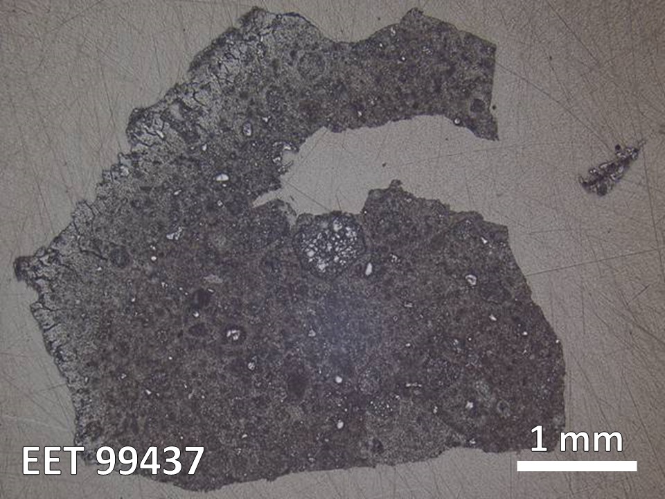 Thin Section Photo of Sample EET 99437 in Reflected Light with  Magnification