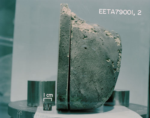 North View of Sawed Face of Sample EETA79001
