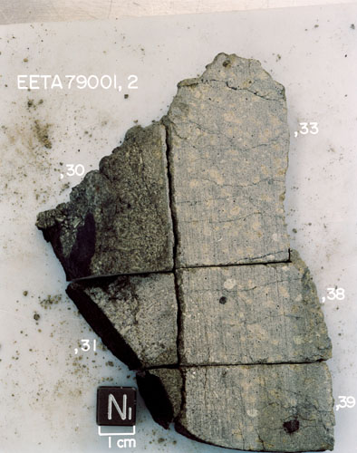 CC4. South View of Sawed Face of Sample EETA79001,2