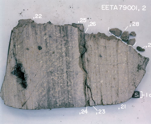 CC7. South View of Splits from Sample  EETA79001,2