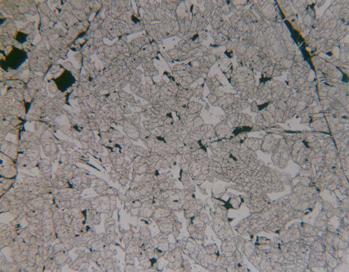 Thin Section Photograph of Sample EETA79001 in Reflected Light