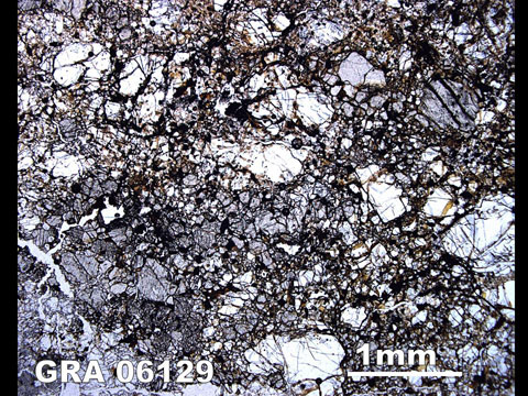 Thin Section Photo of Sample GRA 06129  in Plane-Polarized Light