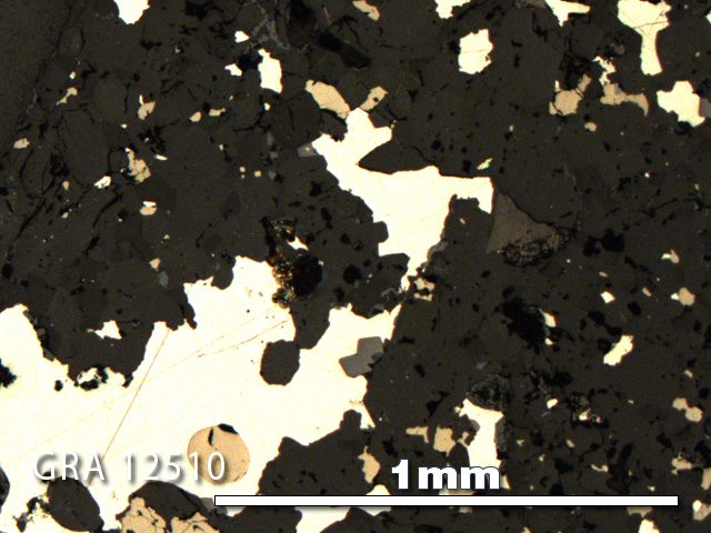 Thin Section Photo of Sample GRA 12510 in Reflected Light with 5X Magnification