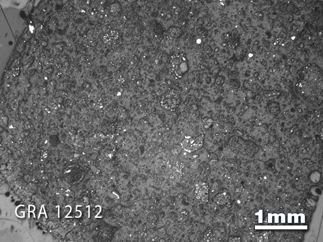 Thin Section Photograph of Sample GRA 12512 in Reflected Light