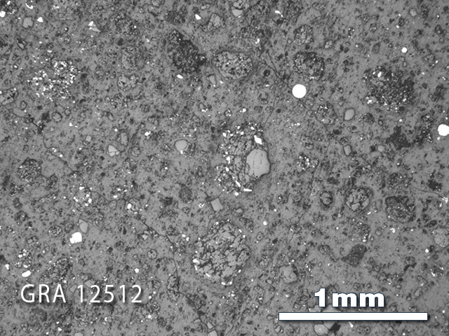 Thin Section Photograph of Sample GRA 12512 in Reflected Light