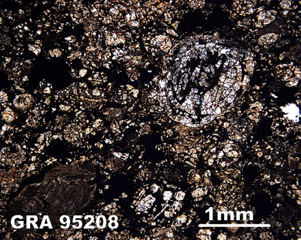 Thin Section Photograph of Sample GRA 95208 in Plane-Polarized Light
