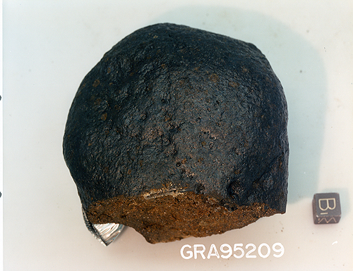 Lab Photo of Sample GRA 95209 Showing East View
