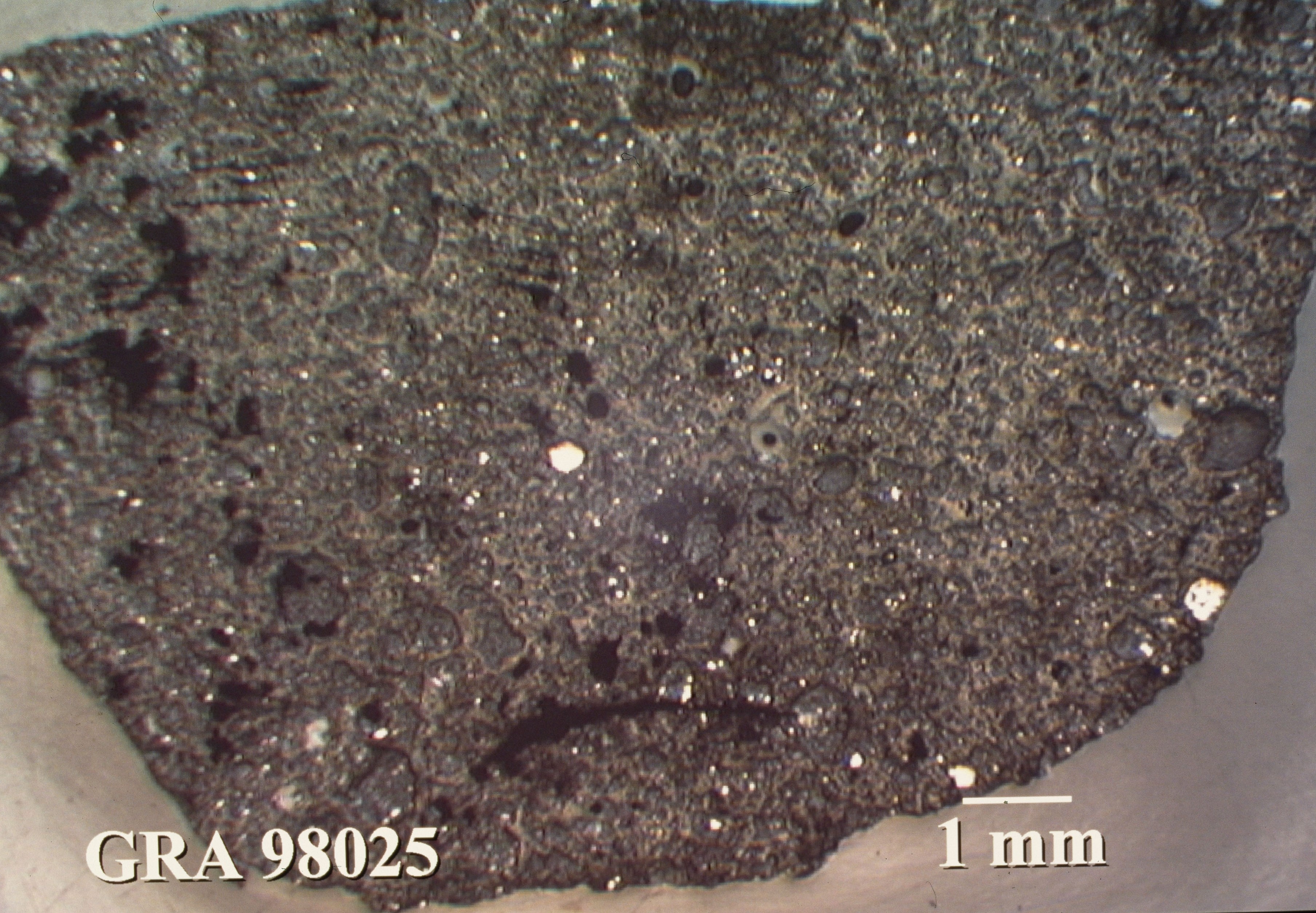 Thin Section Photo of Sample GRA 98025 in Reflected Light with 1.25X Magnification