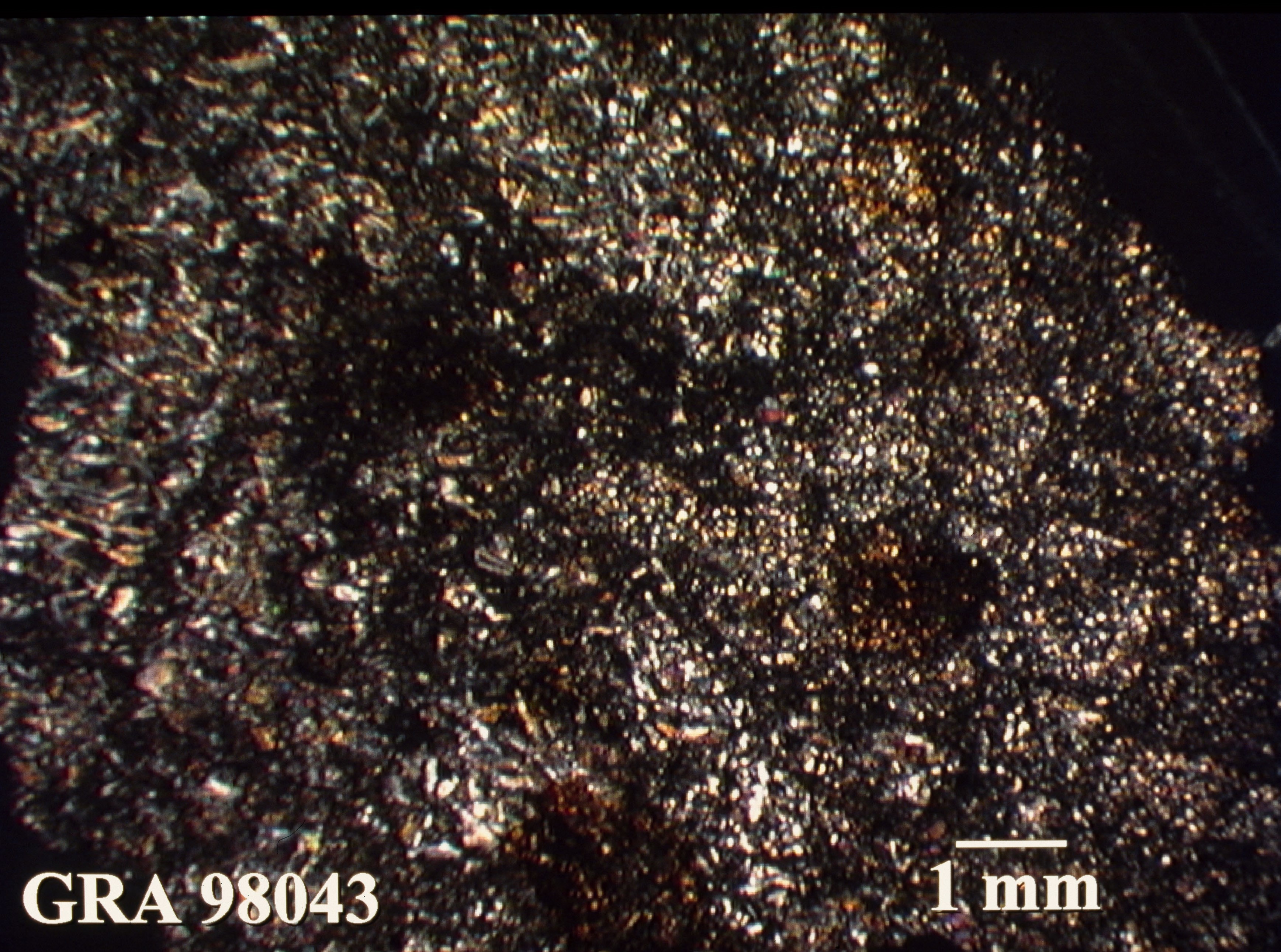 Thin Section Photo of Sample GRA 98043 in Cross-Polarized Light with 1.25X Magnification