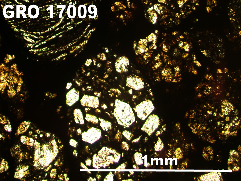 Thin Section Photo of Sample GRO 17009 in Plane-Polarized Light with 5X Magnification