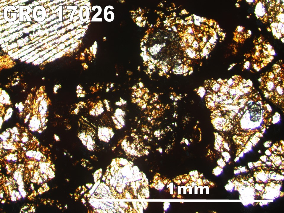 Thin Section Photo of Sample GRO 17026 in Plane-Polarized Light with 5X Magnification