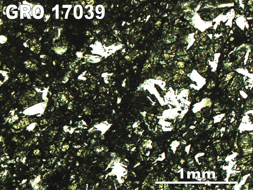Thin Section Photo of Sample GRO 17039 in Plane-Polarized Light with 2.5X Magnification