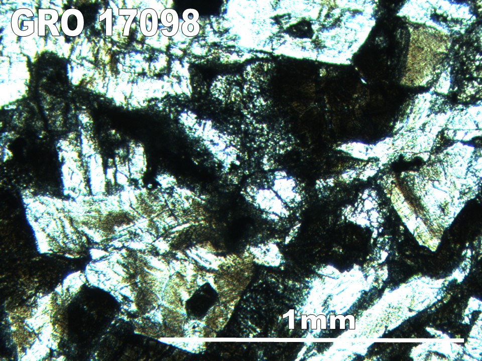 Thin Section Photo of Sample GRO 17098 in Plane-Polarized Light with 5X Magnification