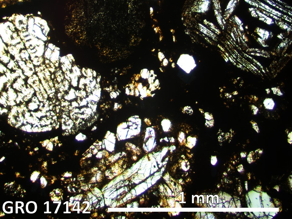 Thin Section Photo of Sample GRO 17142 in Plane-Polarized Light with 2.5X Magnification