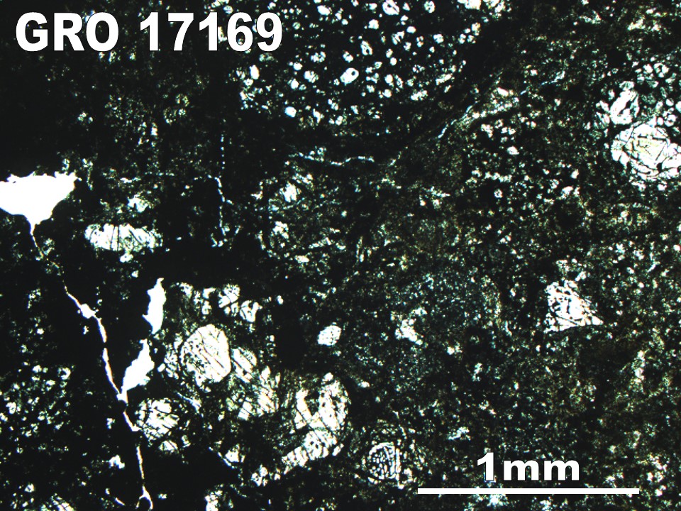 Thin Section Photo of Sample GRO 17169 in Plane-Polarized Light with 2.5X Magnification