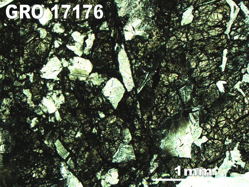 Thin Section Photo of Sample GRO 17176 in Plane-Polarized Light with 2.5X Magnification